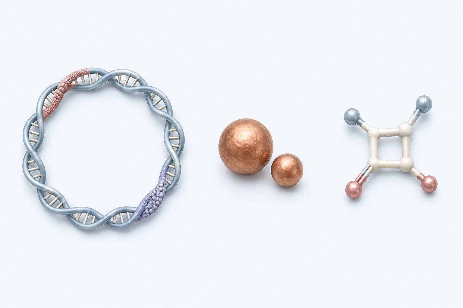 A circular DNA teaching form with two colored inset regions appears separately from two metal spheres and a generic ring token.