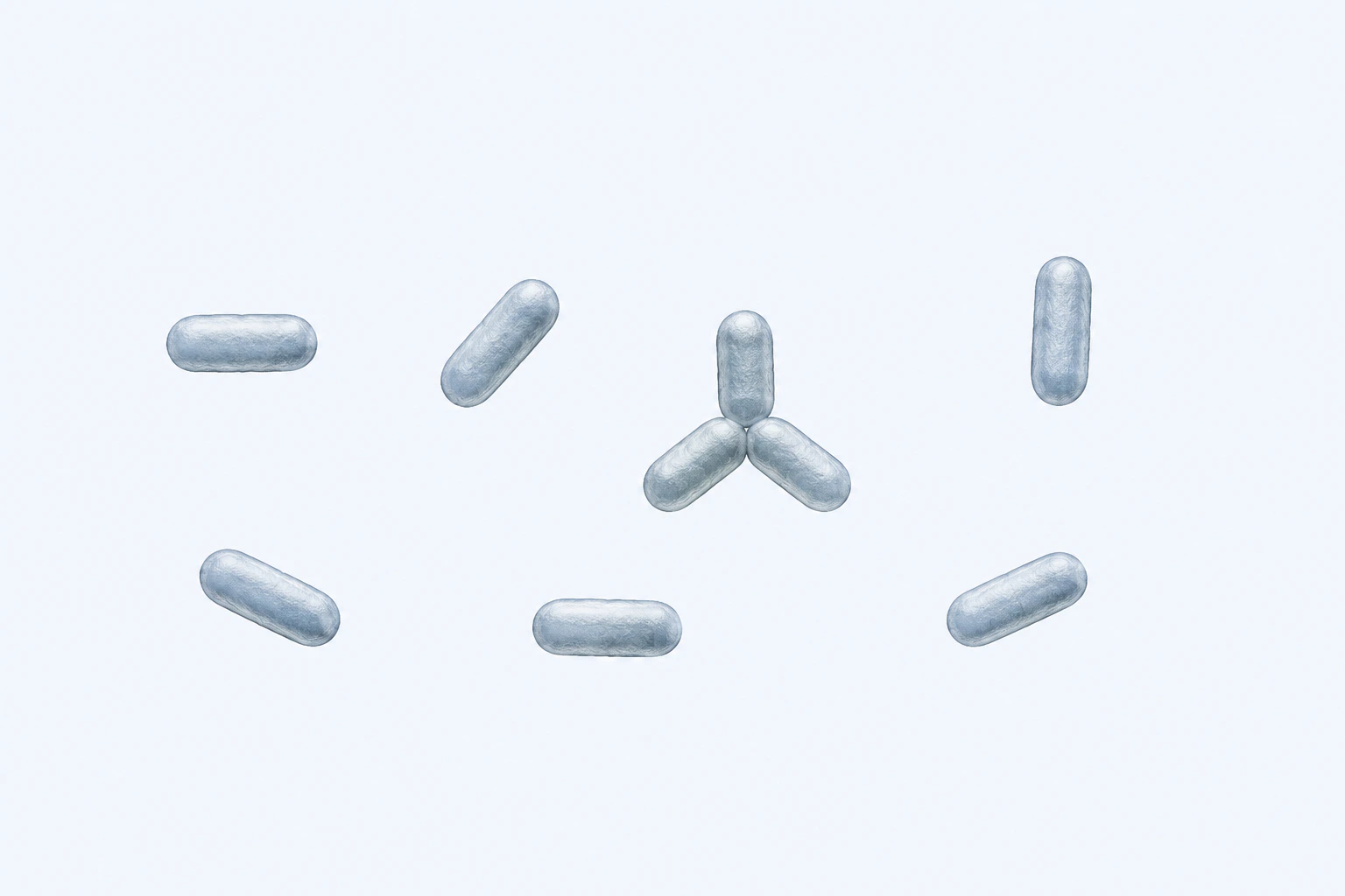 Nine Methylobacterium short plump rods appear in seven groupings: six singles and one three-body rosette.