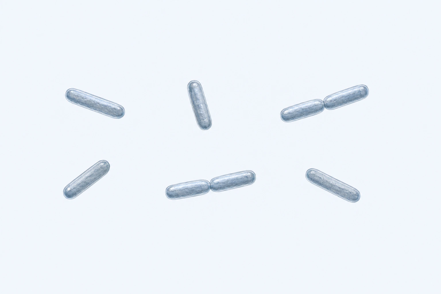 Eight slender Pseudomonas aeruginosa rods appear in six groups: four singles and two touching pairs on a pale field.