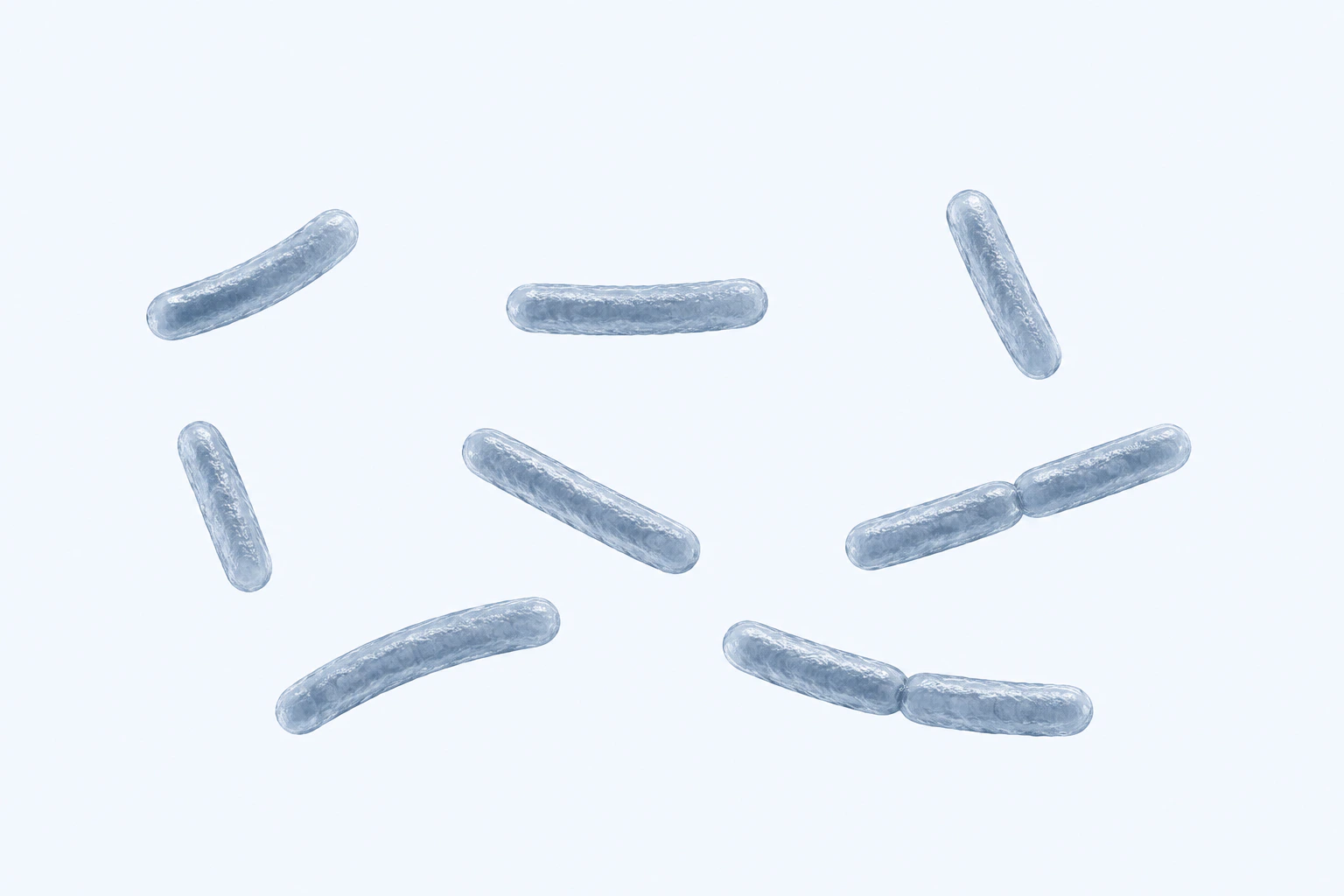 Ten Roseburia rods appear in eight groups: six singles and two touching pairs with straight and gently curved forms.