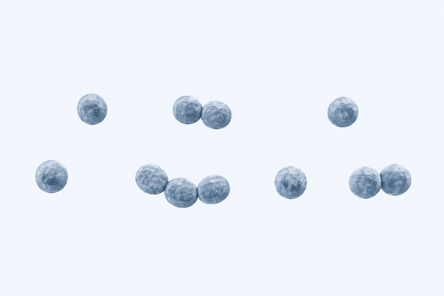 Eleven selected Ruminococcus coccoid bodies appear in seven groups: four singles, two touching pairs, and one three-cell chain.