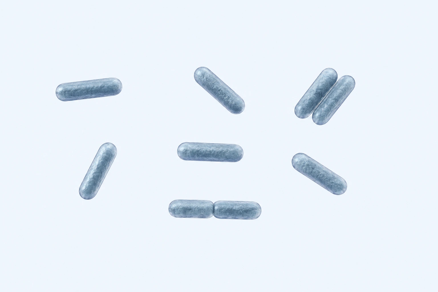 Nine selected Salmonella rods appear in seven groups: five singles and two touching pairs.