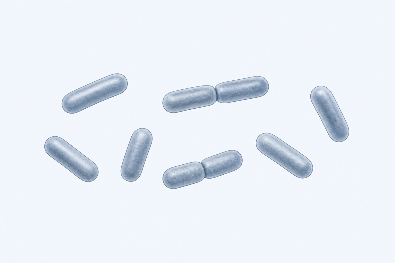 Nine selected Shigella flexneri rods appear in seven groups: five singles and two touching pairs.