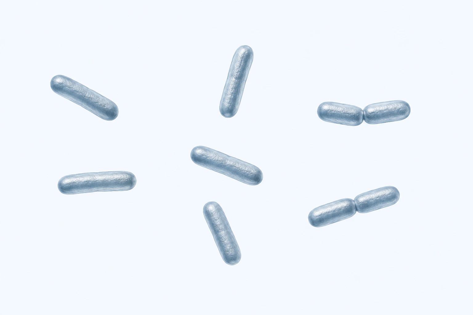 Nine selected Sphingomonas rods appear in seven groups: five singles and two touching pairs.