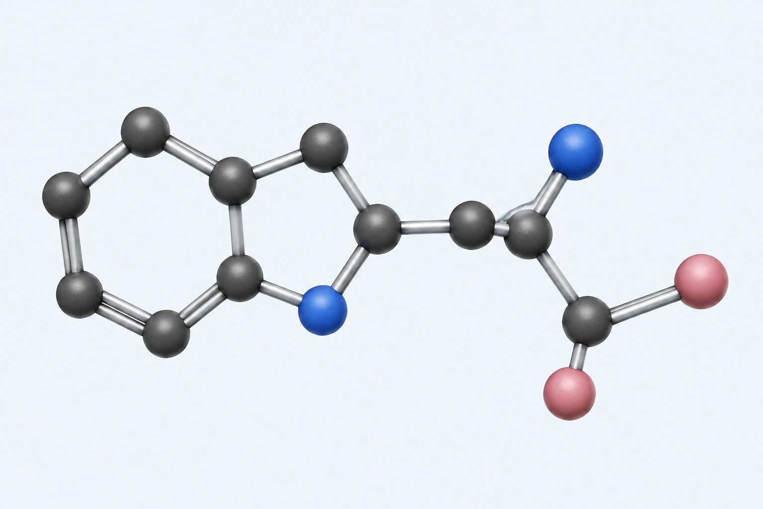 Single heavy-atom connectivity model of L-tryptophan with eleven carbon, two nitrogen, and two oxygen centers.