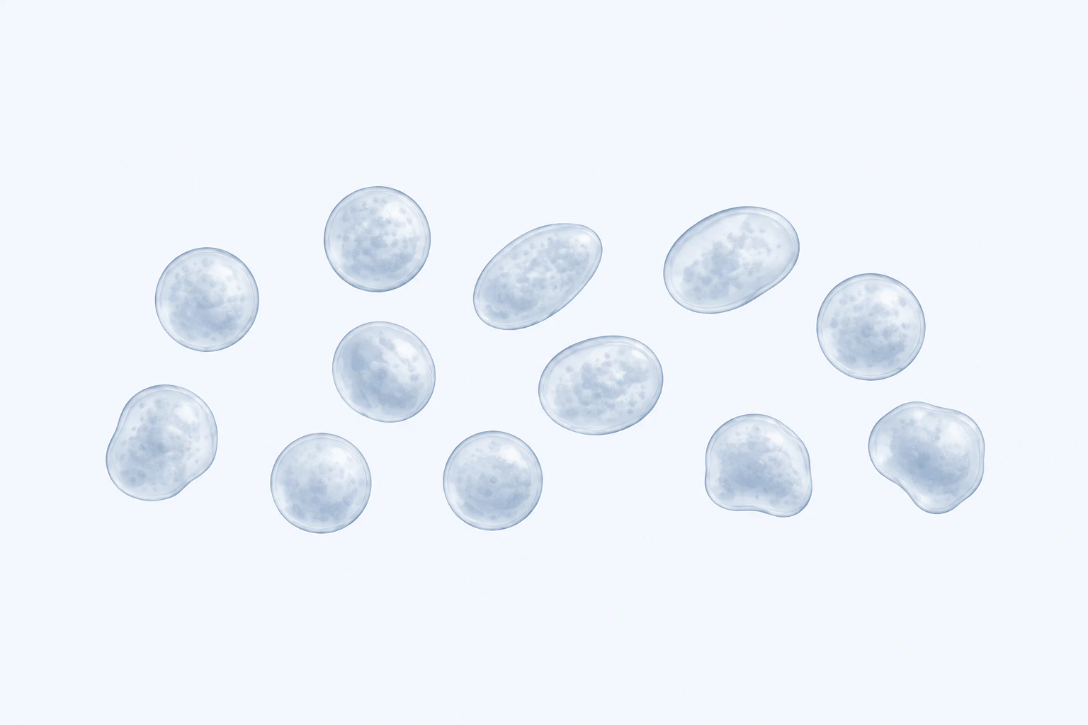 Twelve selected Ureaplasma cells show separated rounded-to-ovoid pleomorphic forms.